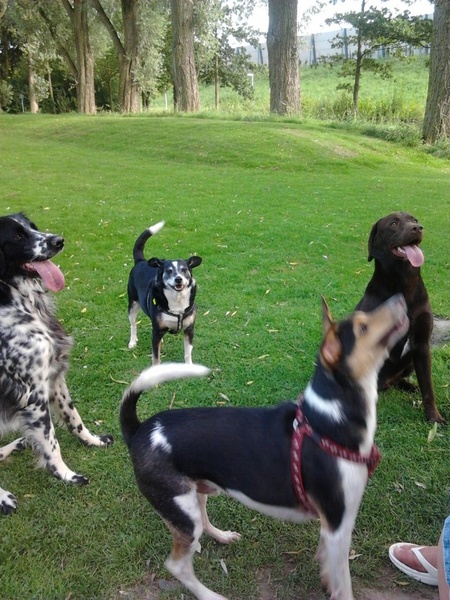 Mt z'n alle lekker spelen