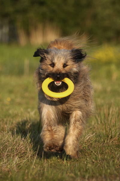 lekker rennen in de avondzon