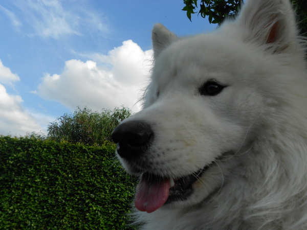 genieten in het zonnetje ;)