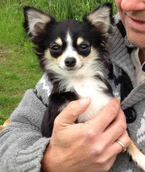 Kennel van Guldemond