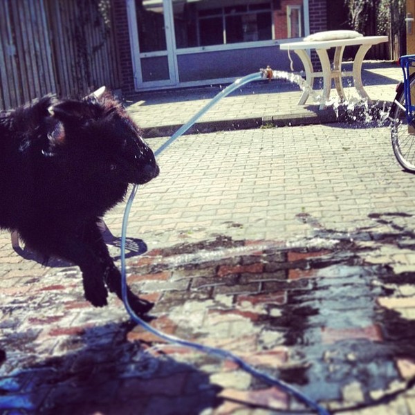 Lekker met de tuinslang spelen!