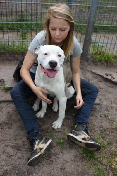 Lieve stafford uit het asiel! 