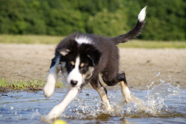 Luka lekker pootjespetteren!
