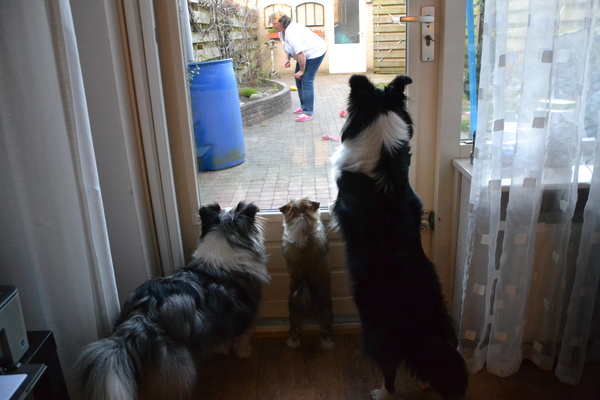 Ikke klein, jullie groot...