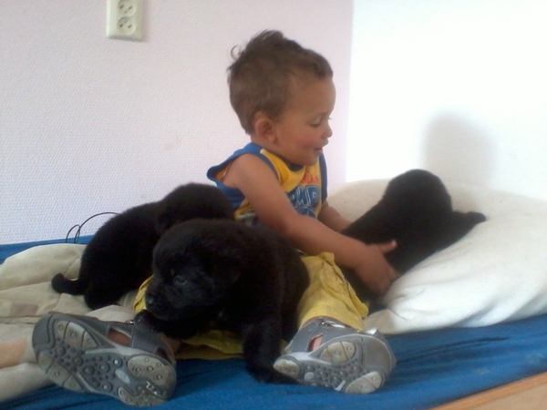 Alles wat klein is is zo lieffffff