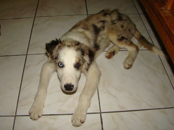 blue 2 dagen bij ons