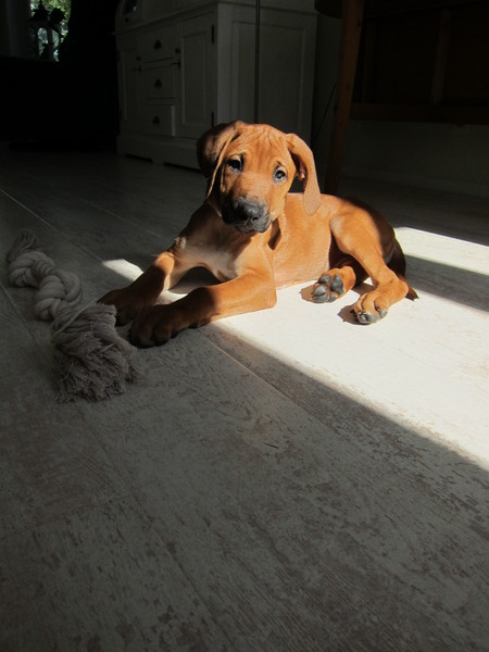 Lekker duffen in de zon