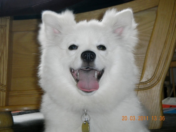 ONS PREMATUURTJE AFRA  NU FLOCKE GEHETEN