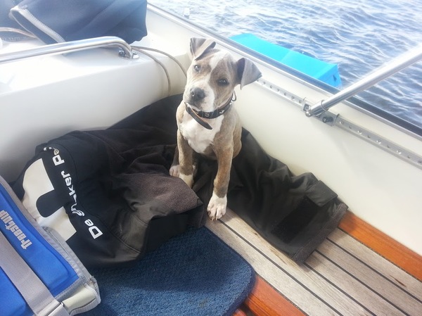 Tetje wil ook graag wakeboarden!