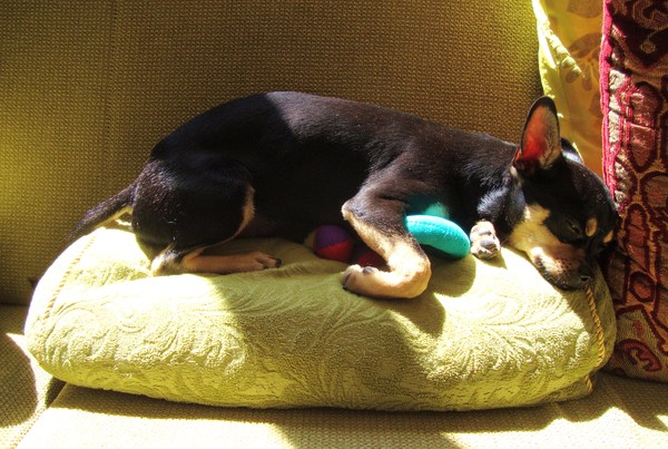 Ik ben zóóó moe van 't spelen... 