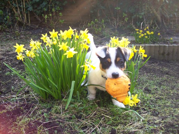 tussen de bloemetjes