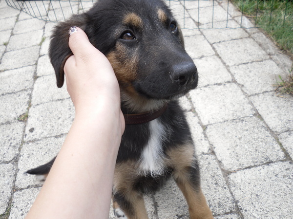 Mijn mooie meisje <3