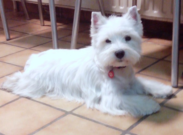 From Castle Of Beauties