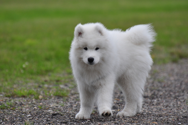 Ontdekken van de wereld