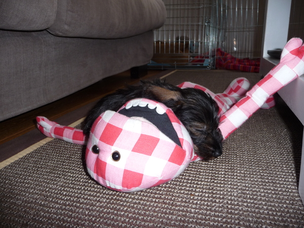 Oliver met de maag..!!