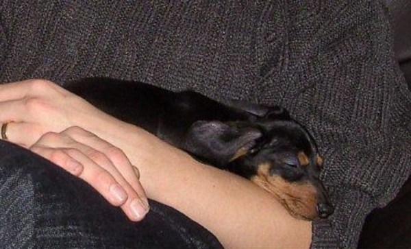 Buddy's eerste dag bij ons!