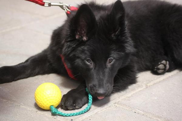 Ik ben een baby boefje