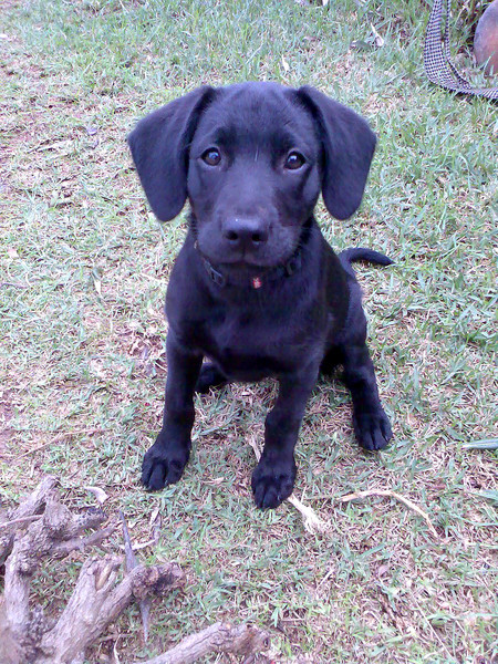 Tussen twee speeltjes!