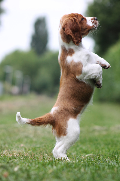 Daar zit een vogeltje!