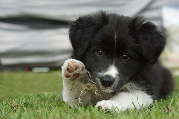 hi five................