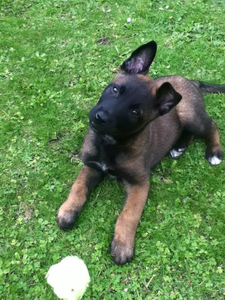 hé wat zeg je daar?