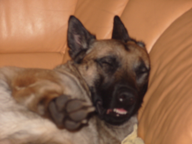 Wie zeg dat ik niet lui ben 