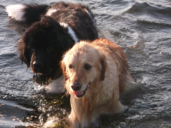 zij aan zij staan we sterk