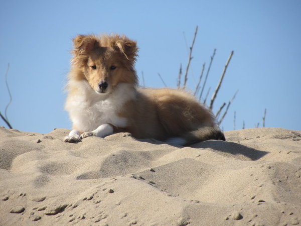 Liberty at the beach