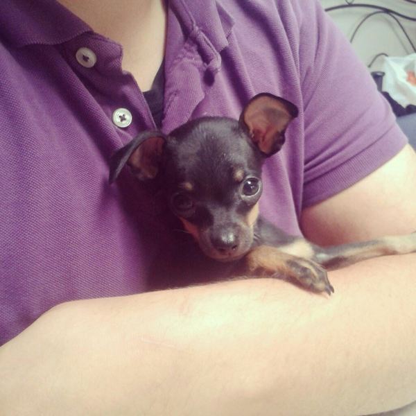 Schattige Nalu
