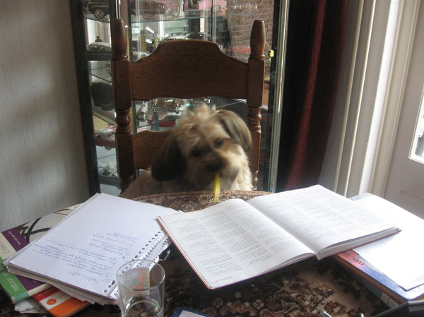 Barney helpt met huiswerk