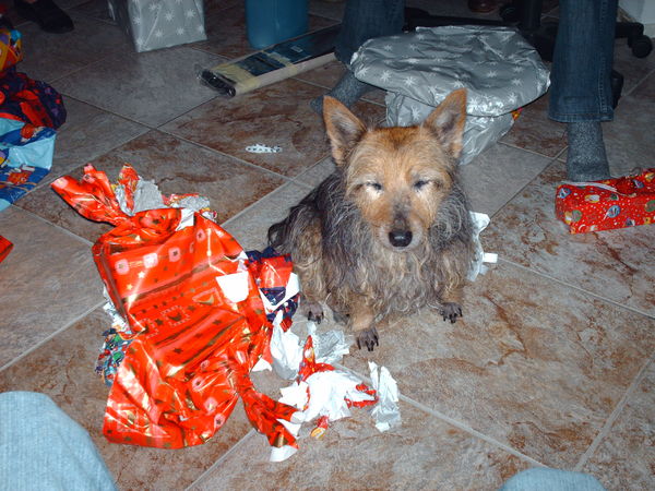 Sasja 17,5 jaar oud,maar wilde overal nog bij zijn.