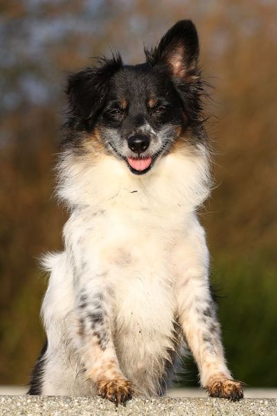 Mijn heerlijke oudje