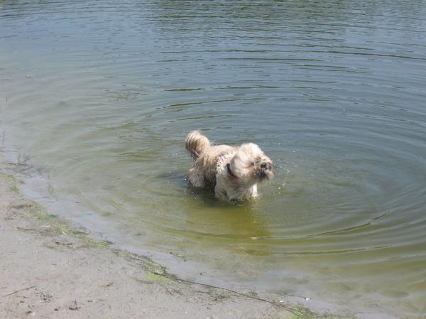 Barney schud zich uit