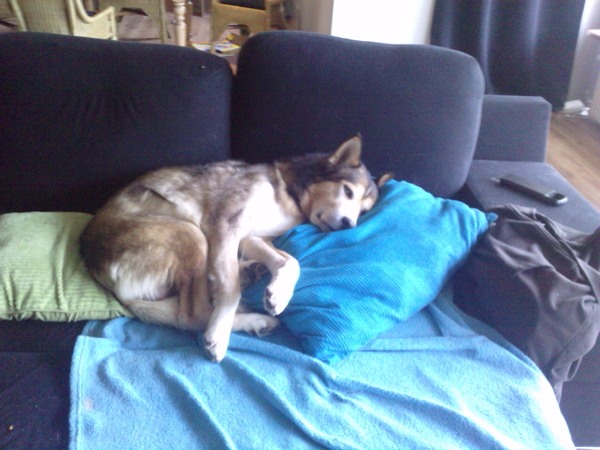 Levenswijsheid: Het zachtst slaapt het best