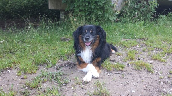 Opa Dobey rust even uit tijdens een heerlijke boswandeling