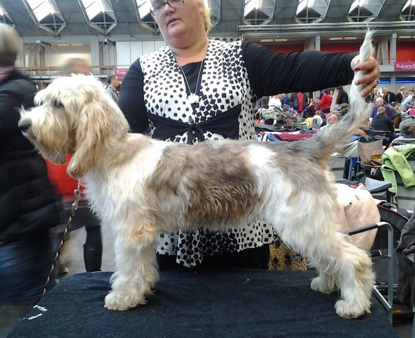 Kennel van de Viersenhoeve