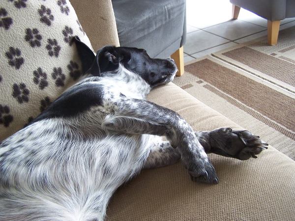 pfff wat heb ik hard gewerkt ..