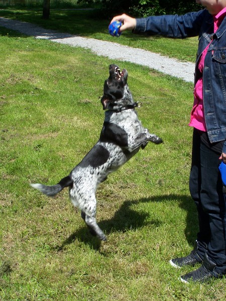 zo gek op zijn balletje ..