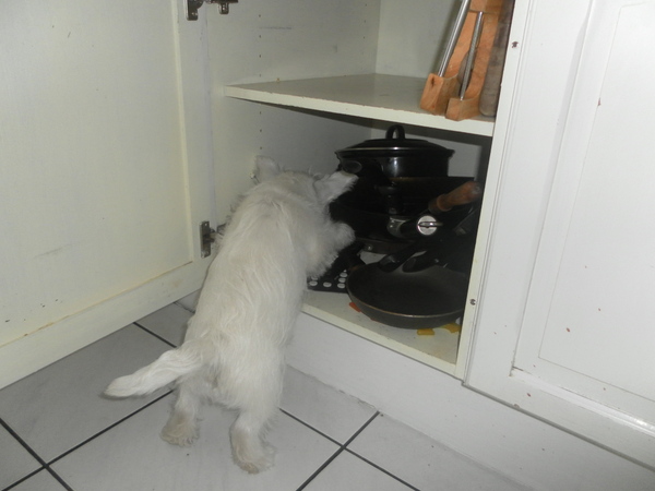 Leuk de tafel dekken