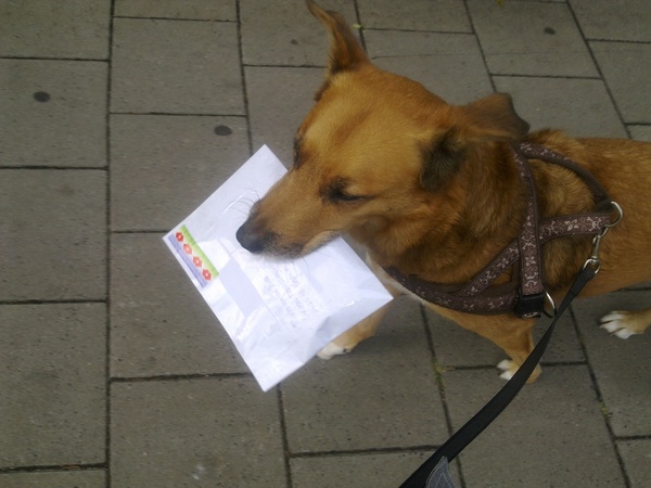 Op naar de brievenbus.