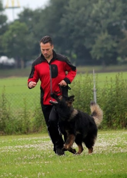 VZH examen Raymond & Varghoss