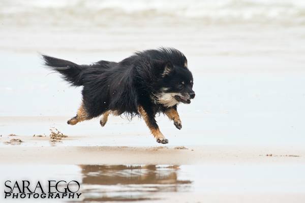 Max aan het werk tijdens een shoot!!