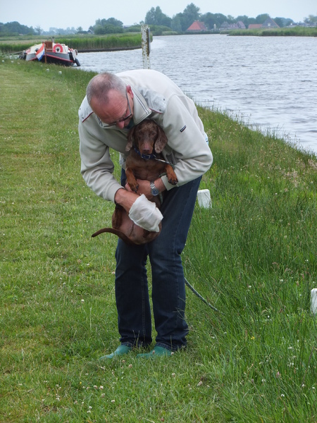 Teckel Gijs effe schoonmaken