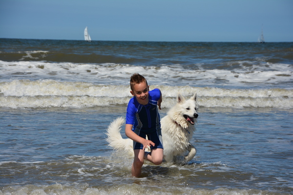 Baywatch