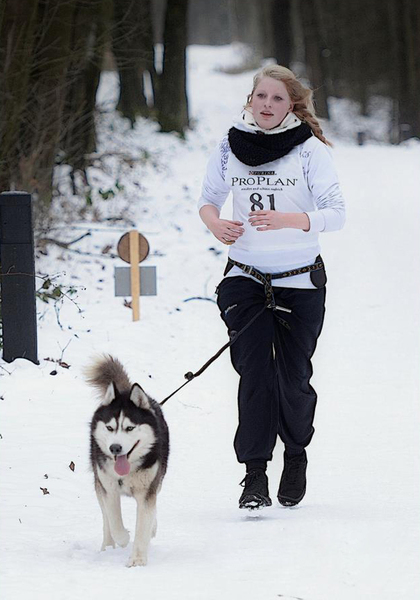 Silver aan het werk.