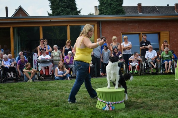 Dogdance Sky