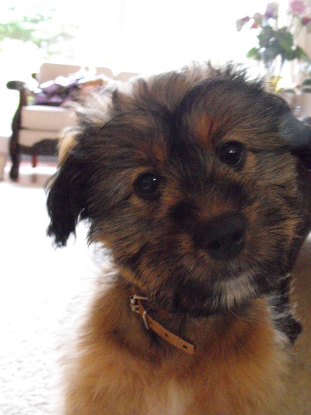 Beertje nog een keer!