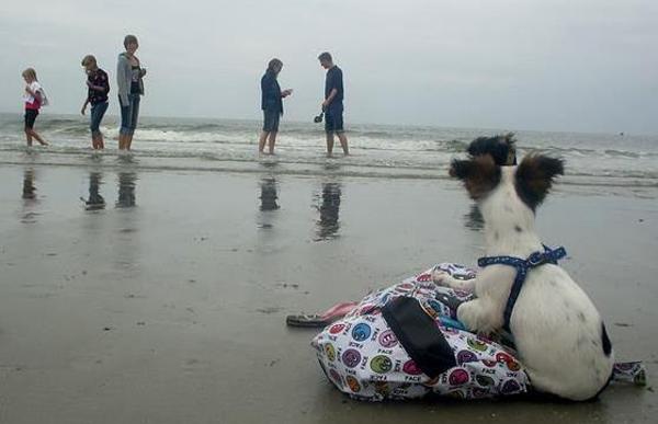 Chicky bewaakt onze spullen