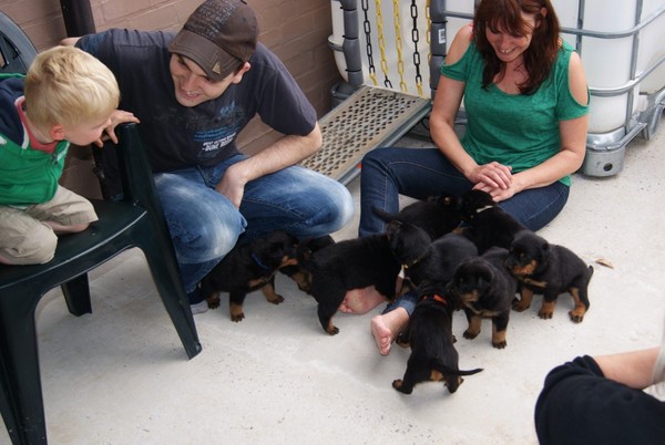 L'Ami de la Campagne