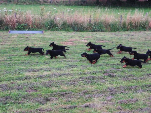 L'Ami de la Campagne